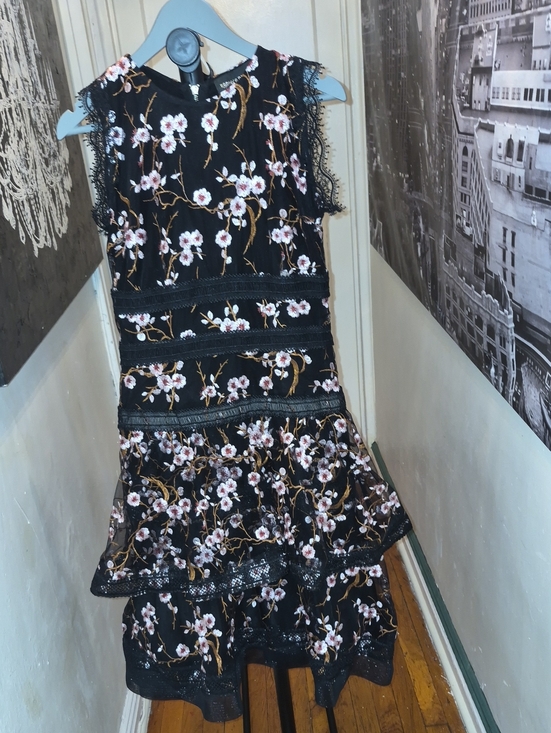 Bronx and Banco Dresses & Skirts - Bronx and Banco Black Dress with Pink and Gold Floral Embroidery